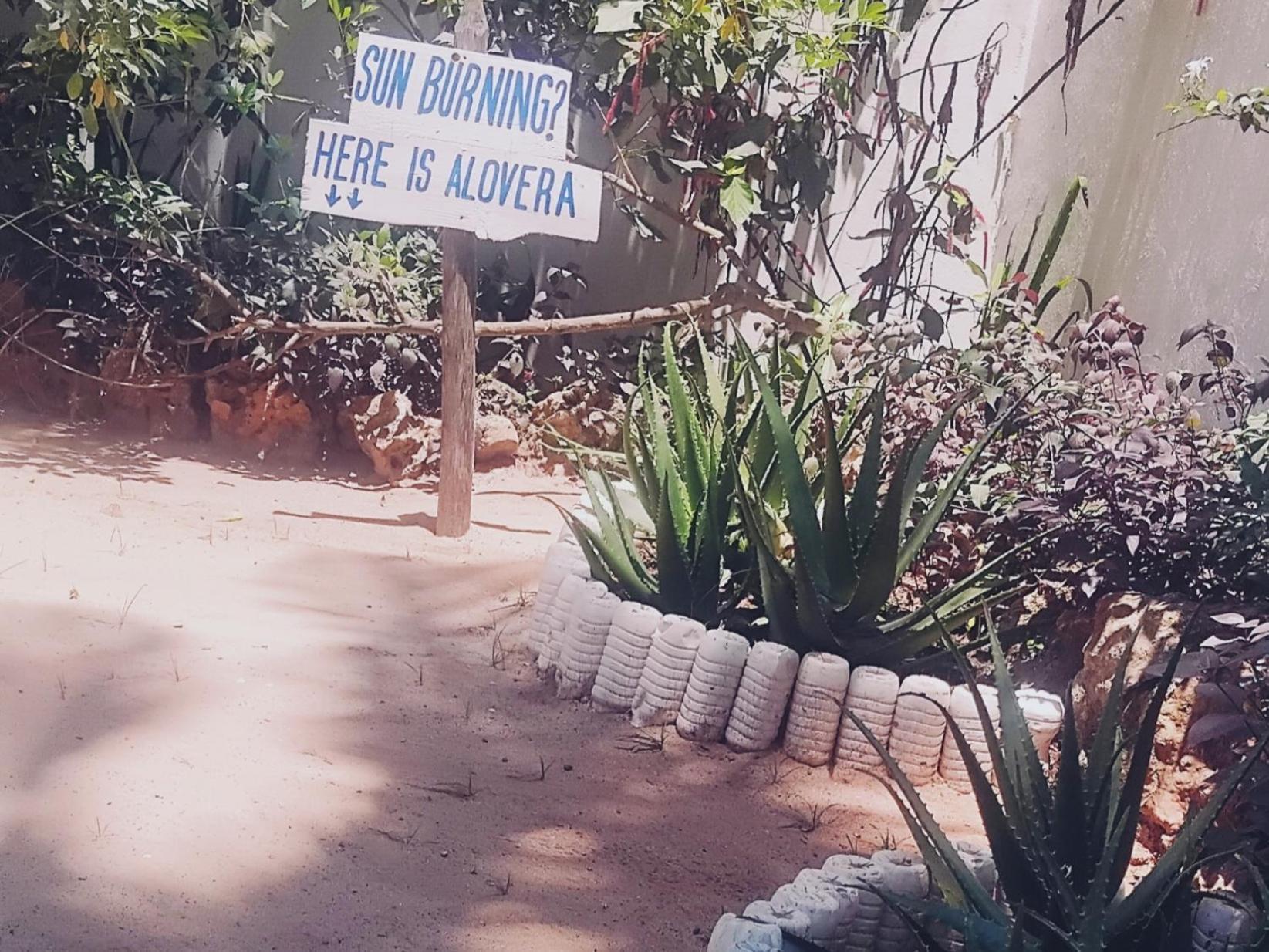 ホテル Maua Beach キジカジ エクステリア 写真